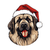 Leonberg chien Noël drôle Noël