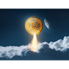Bitcoin flies to the moon