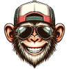 Funny Monkey