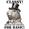 Funny Capybara