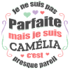 CAMÉLIA PARFAITE - PRENOM CAMÉLIA