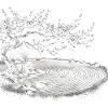 Zen Garden Enlightenment