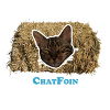 chatfoin