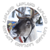 Lapland reindeer