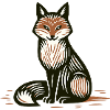 The Elegant Fox