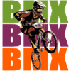 Vélo BMX