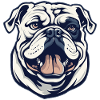 Bouledogue anglais cool