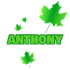 Anthony as Fortwirt