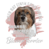 Biewer Terrier schöner Spruch