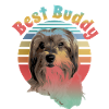 Biewer Terrier, best friend