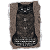 Cat Poem