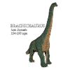 Realistic drawing of the Brachiosaurus