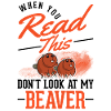 Beaver Beaver Dam Gift Beaver