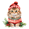 Cat in Christmas look
