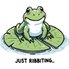 Frog on lily pad