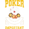 Card Player Cards Blackjack Bluff