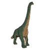 Drawing of the Brachiosaurus