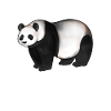 Dessin d’un panda