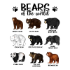 Ours du monde - Ours