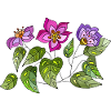 Fleur