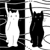 Chats