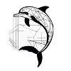 Modern Dolphin