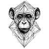 Modern Monkey