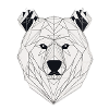 Bear Sketch