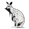 Kangaroo
