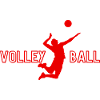 Volleyball - volleyball gift idea