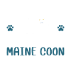 Obsédé par le Maine Coon