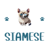 Purrfectly Obsessed With Siamese