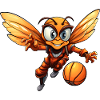 Abeille de basket-ball