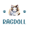 Obsédé par Ragdoll