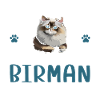 Purrfectly Obsessed With Burman