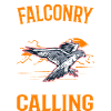 Falcon Hobby Falconry Kestrel
