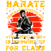 Karate is about discipline