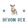 Obsédé par Devon Rex