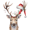HolidayJoy XL