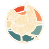 Poule de poulet