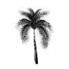 Modern Palm Tree