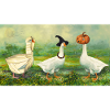 Halloween Gänse