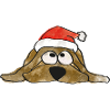 Christmas Dog