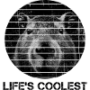 Capybara Life's Coolest Wasserschwein