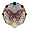Retro Moon Phase and Moth