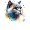 Best Cat Dad Ever