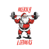 Santa merry liftmas