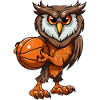 Owls Basketball