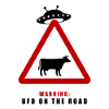 Warning! UFO on the road!