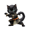A black cat